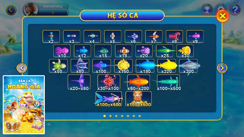Cược thủ Bắn cá hoàng gia nên chơi theo nhóm để hỗ trợ nhau